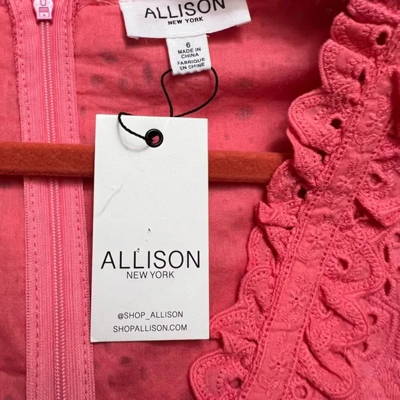 Allison New York Women’s Taylor Mini DressPink eyelet 6, NWT